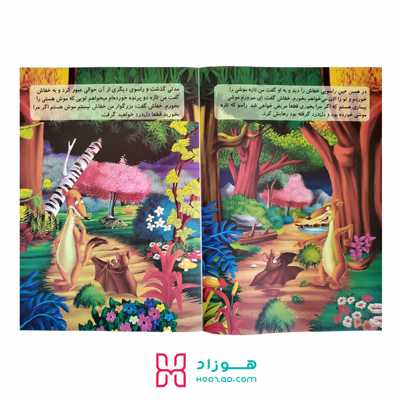 میمون قاضی